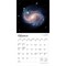 Hubble Space Telescope | 2026 7 x 14 Inch (Hanging) Monthly Mini Wall Calendar
